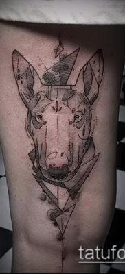 Фото тату бультерьер — 18052017 — пример — 037 Bull terrier tattoo