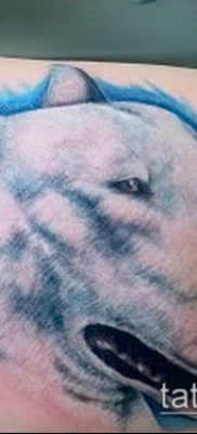 Фото тату бультерьер — 18052017 — пример — 044 Bull terrier tattoo