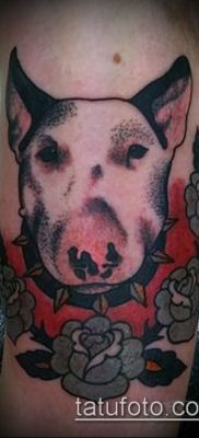 Фото тату бультерьер — 18052017 — пример — 049 Bull terrier tattoo