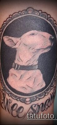 Фото тату бультерьер — 18052017 — пример — 050 Bull terrier tattoo