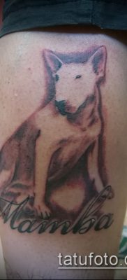 Фото тату бультерьер — 18052017 — пример — 051 Bull terrier tattoo