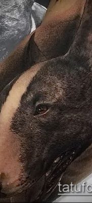 Фото тату бультерьер — 18052017 — пример — 053 Bull terrier tattoo