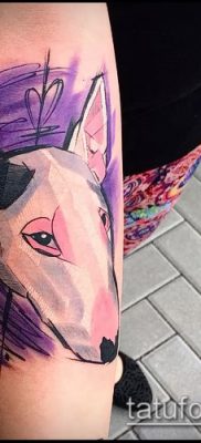 Фото тату бультерьер — 18052017 — пример — 055 Bull terrier tattoo