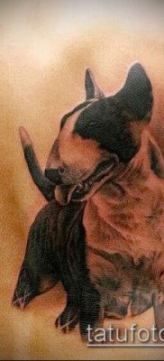 Фото тату бультерьер — 18052017 — пример — 057 Bull terrier tattoo