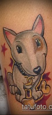 Фото тату бультерьер — 18052017 — пример — 058 Bull terrier tattoo