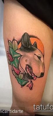 Фото тату бультерьер — 18052017 — пример — 059 Bull terrier tattoo