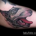 Фото тату бультерьер - 18052017 - пример - 063 Bull terrier tattoo