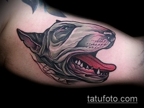 Фото тату бультерьер - 18052017 - пример - 063 Bull terrier tattoo