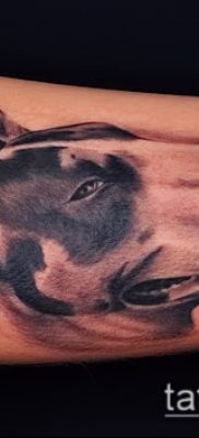 Фото тату бультерьер — 18052017 — пример — 064 Bull terrier tattoo