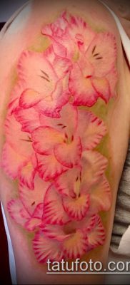 Фото тату гладиолус — пример рисунка — 30052017 — пример — 003 Tattoo gladiolus