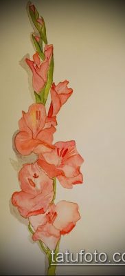 Фото тату гладиолус — пример рисунка — 30052017 — пример — 005 Tattoo gladiolus