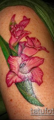 Фото тату гладиолус — пример рисунка — 30052017 — пример — 027 Tattoo gladiolus