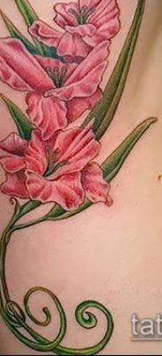 Фото тату гладиолус — пример рисунка — 30052017 — пример — 057 Tattoo gladiolus