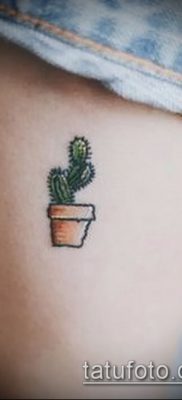 Фото тату кактус — пример рисунка — 27052017 — пример — 004 Tattoo cactus