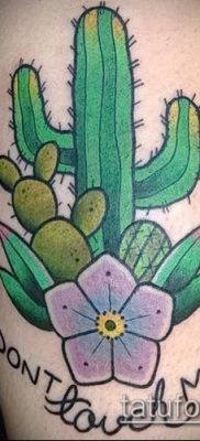 Фото тату кактус — пример рисунка — 27052017 — пример — 005 Tattoo cactus