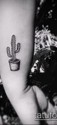 Фото тату кактус — пример рисунка — 27052017 — пример — 008 Tattoo cactus
