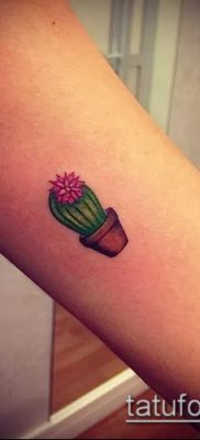 Фото тату кактус — пример рисунка — 27052017 — пример — 009 Tattoo cactus