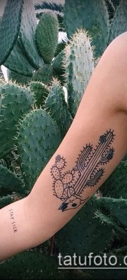 Фото тату кактус — пример рисунка — 27052017 — пример — 012 Tattoo cactus