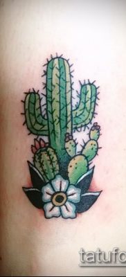 Фото тату кактус — пример рисунка — 27052017 — пример — 013 Tattoo cactus