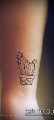 Фото тату кактус — пример рисунка — 27052017 — пример — 016 Tattoo cactus