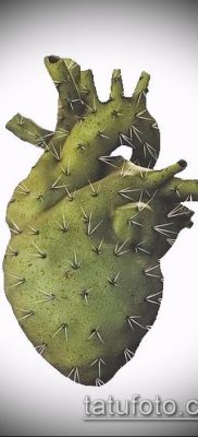 Фото тату кактус — пример рисунка — 27052017 — пример — 021 Tattoo cactus