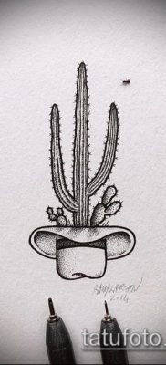 Фото тату кактус — пример рисунка — 27052017 — пример — 023 Tattoo cactus