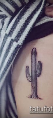 Фото тату кактус — пример рисунка — 27052017 — пример — 024 Tattoo cactus