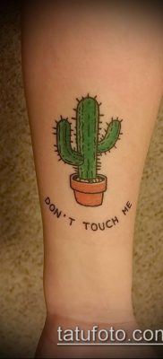 Фото тату кактус — пример рисунка — 27052017 — пример — 025 Tattoo cactus
