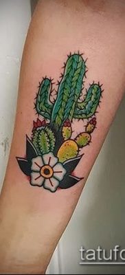Фото тату кактус — пример рисунка — 27052017 — пример — 026 Tattoo cactus