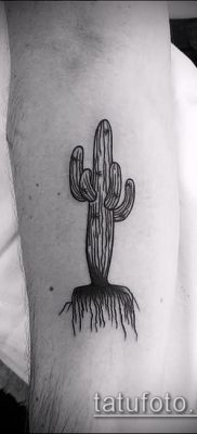 Фото тату кактус — пример рисунка — 27052017 — пример — 039 Tattoo cactus