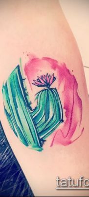 Фото тату кактус — пример рисунка — 27052017 — пример — 041 Tattoo cactus