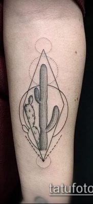 Фото тату кактус — пример рисунка — 27052017 — пример — 045 Tattoo cactus