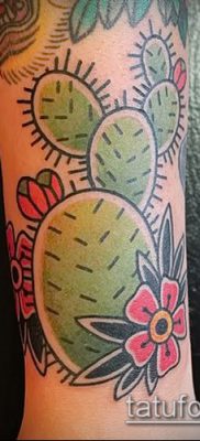 Фото тату кактус — пример рисунка — 27052017 — пример — 047 Tattoo cactus