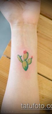 Фото тату кактус — пример рисунка — 27052017 — пример — 049 Tattoo cactus