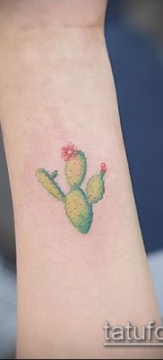Фото тату кактус — пример рисунка — 27052017 — пример — 059 Tattoo cactus