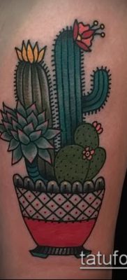 Фото тату кактус — пример рисунка — 27052017 — пример — 063 Tattoo cactus