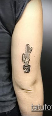 Фото тату кактус — пример рисунка — 27052017 — пример — 064 Tattoo cactus