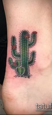 Фото тату кактус — пример рисунка — 27052017 — пример — 065 Tattoo cactus