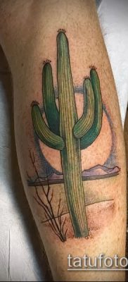 Фото тату кактус — пример рисунка — 27052017 — пример — 067 Tattoo cactus