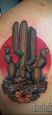 Фото тату кактус — пример рисунка — 27052017 — пример — 068 Tattoo cactus