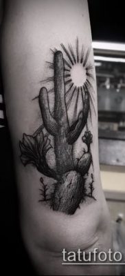 Фото тату кактус — пример рисунка — 27052017 — пример — 069 Tattoo cactus