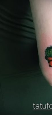 Фото тату кактус — пример рисунка — 27052017 — пример — 071 Tattoo cactus
