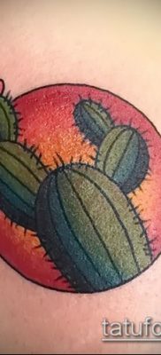 Фото тату кактус — пример рисунка — 27052017 — пример — 074 Tattoo cactus