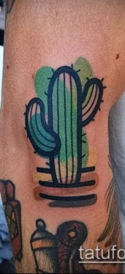 Фото тату кактус — пример рисунка — 27052017 — пример — 087 Tattoo cactus