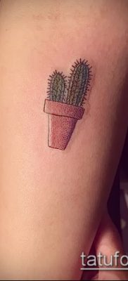 Фото тату кактус — пример рисунка — 27052017 — пример — 111 Tattoo cactus