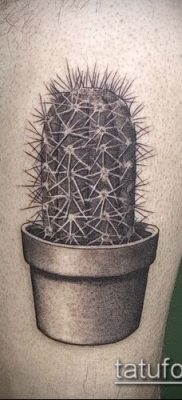 Фото тату кактус — пример рисунка — 27052017 — пример — 112 Tattoo cactus
