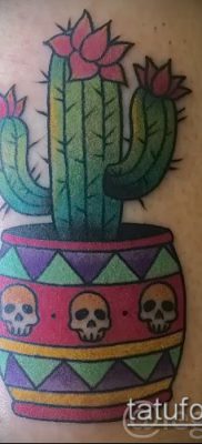 Фото тату кактус — пример рисунка — 27052017 — пример — 118 Tattoo cactus