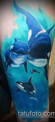 Фото тату касатка — 19052017 — пример — 004 Tattoo Killer whale