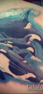 Фото тату касатка — 19052017 — пример — 008 Tattoo Killer whale