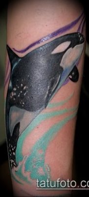 Фото тату касатка — 19052017 — пример — 033 Tattoo Killer whale